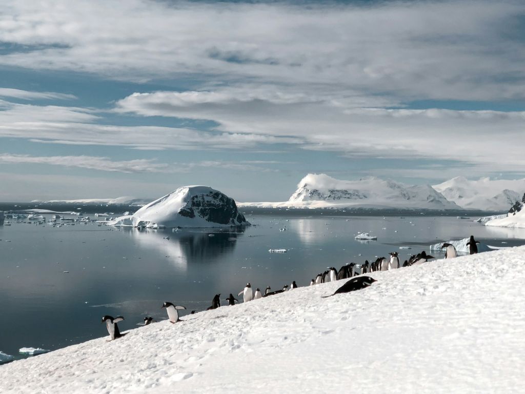 Fly cruise Antarctic Peninsula