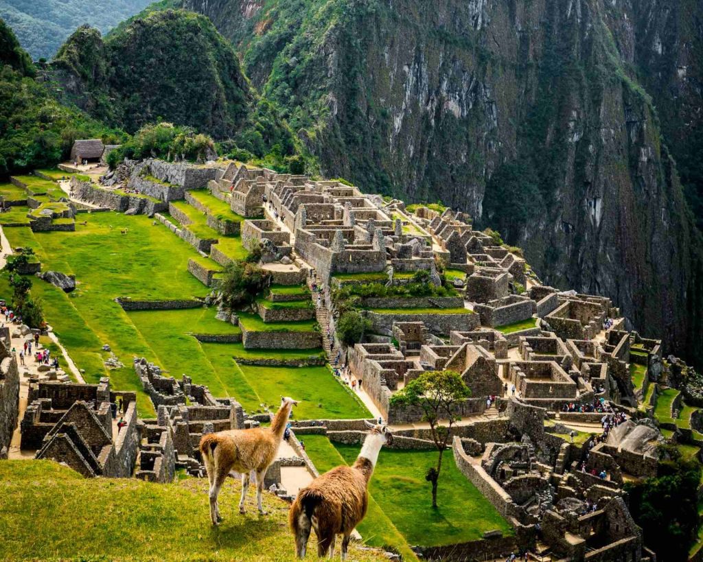 Fly cruise Machu Picchu 1