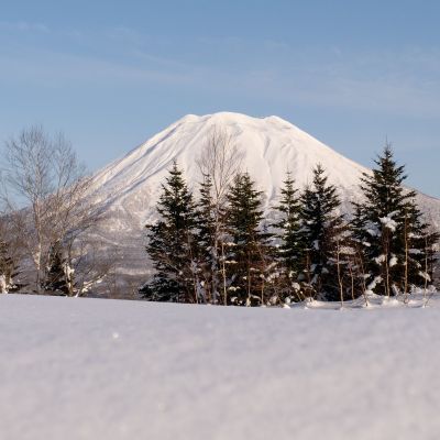 A Tale of 2 Seasons: Niseko Village’s Unforgettable Summer Swings and Winter Wonders