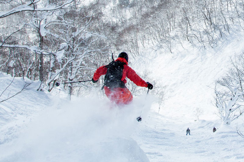 Niseko Village Powder Paradise