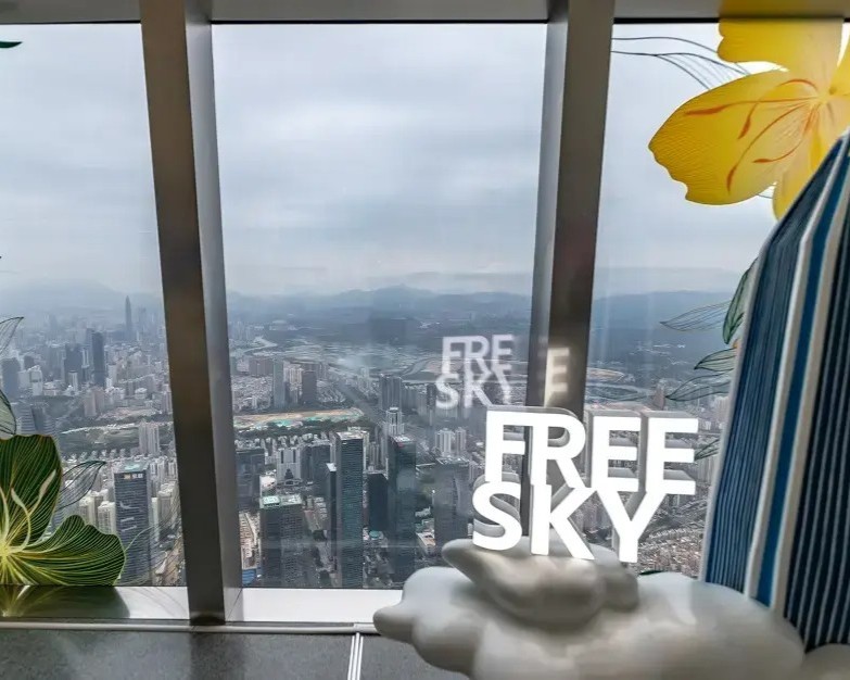 Shenzhen FREE SKY Shenzhen FREE SKY