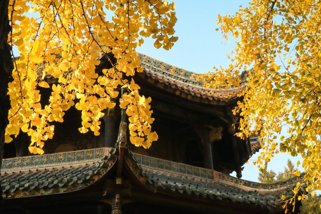 Southwest China in Gold Chengdu