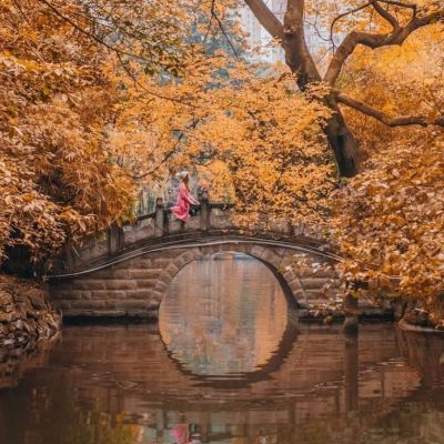 Southwest China in Gold: Your Front-Row Seat to a Breathtaking Autumn