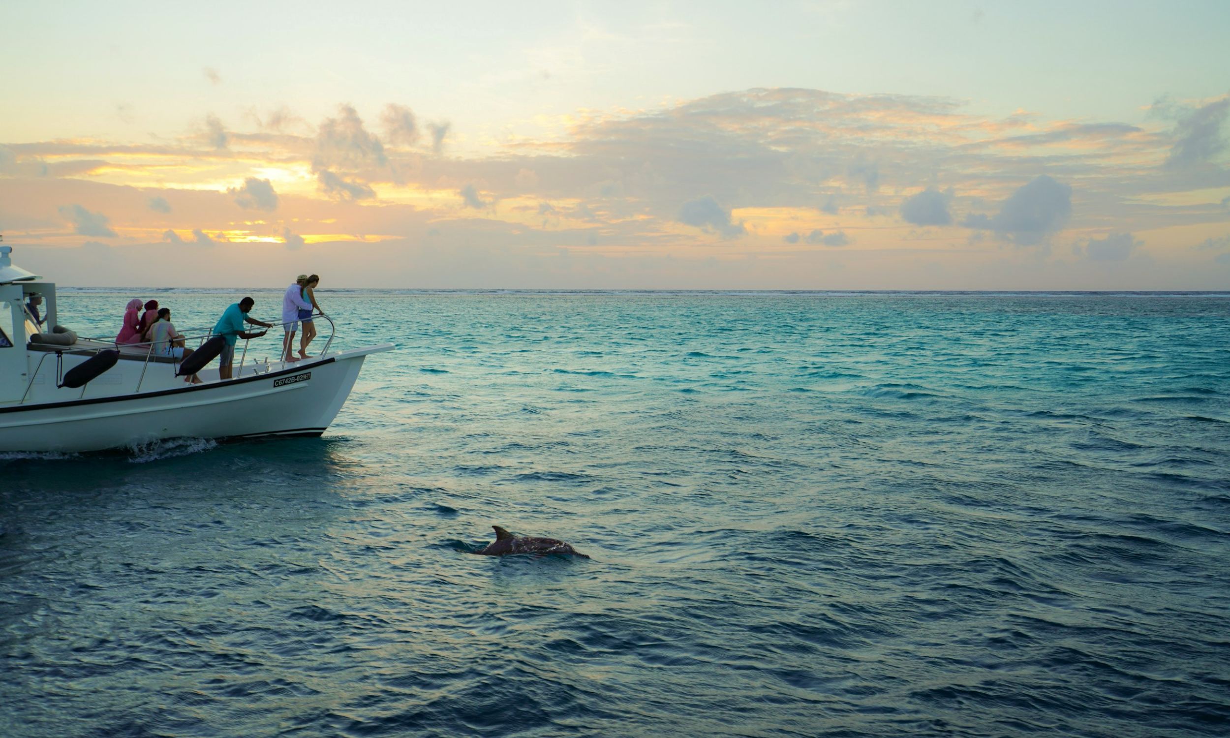 Sunset Dolphin Cruise The Residence Maldives at Dhigurah