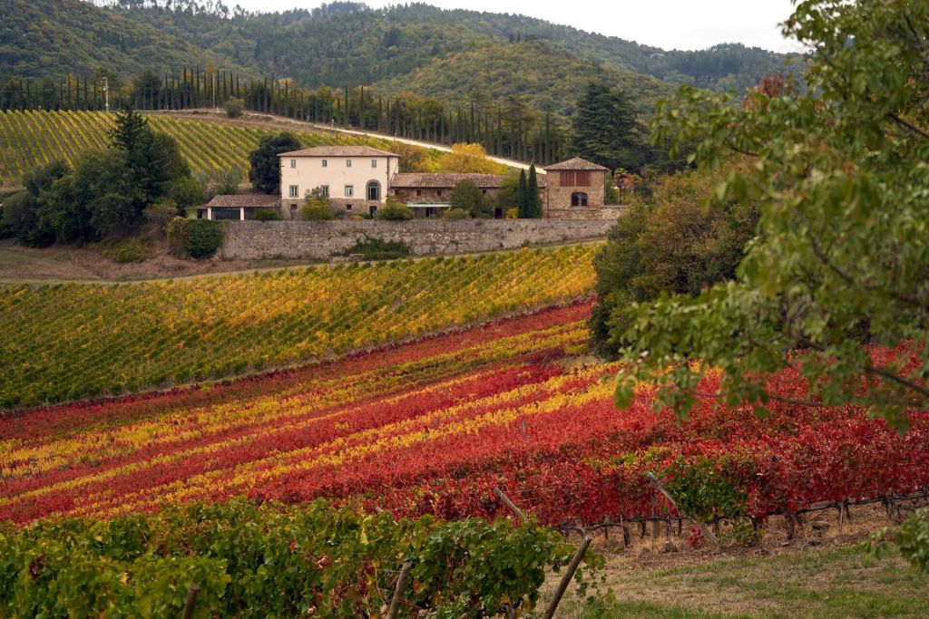Autumn Travel Tuscany