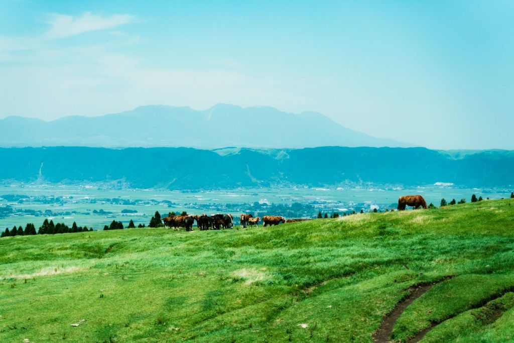Fukuoka Mount Aso