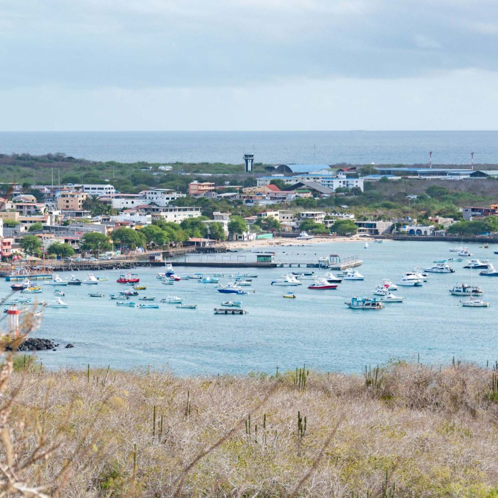 Puerto Ayora, Galapagos puerto-ayora-galapagos