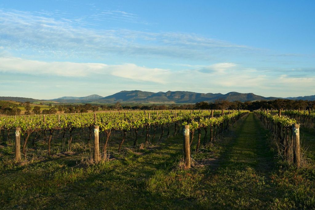 See Sydney Hunter Valley See Sydney Hunter Valley