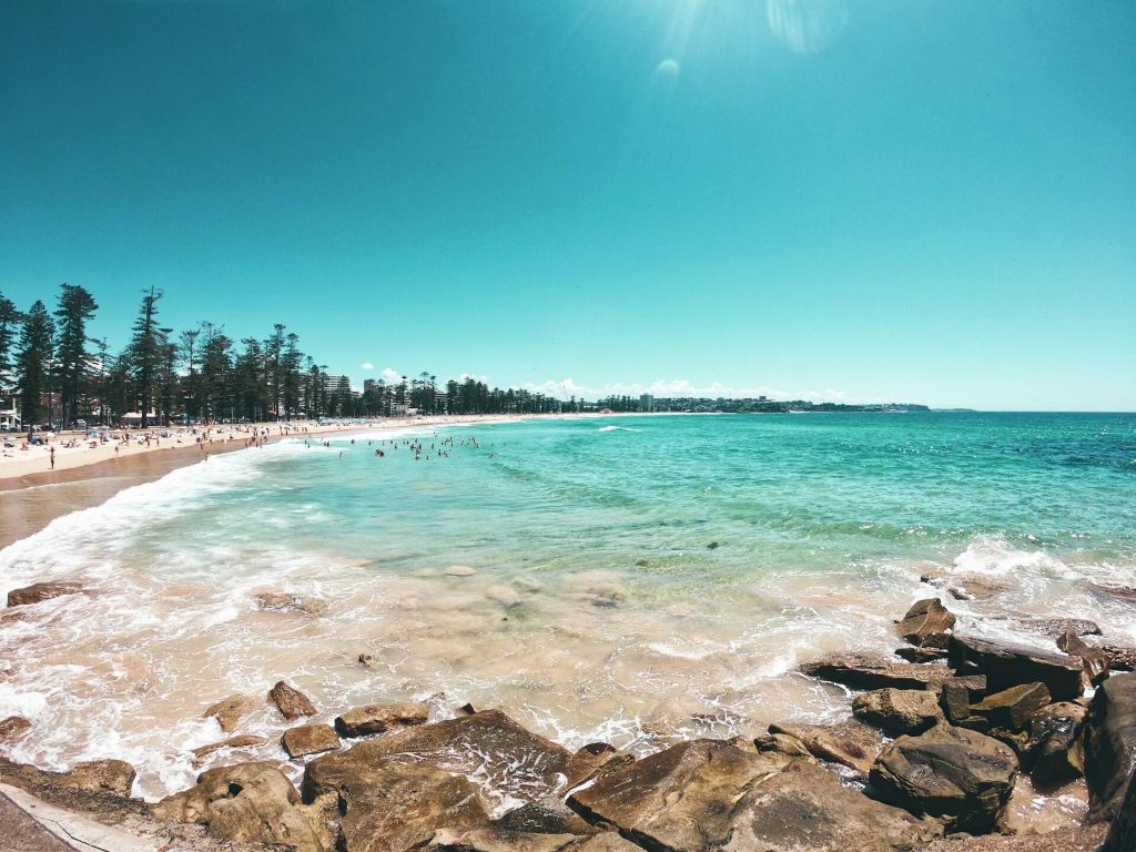 See Sydney Summer See Sydney Summer
