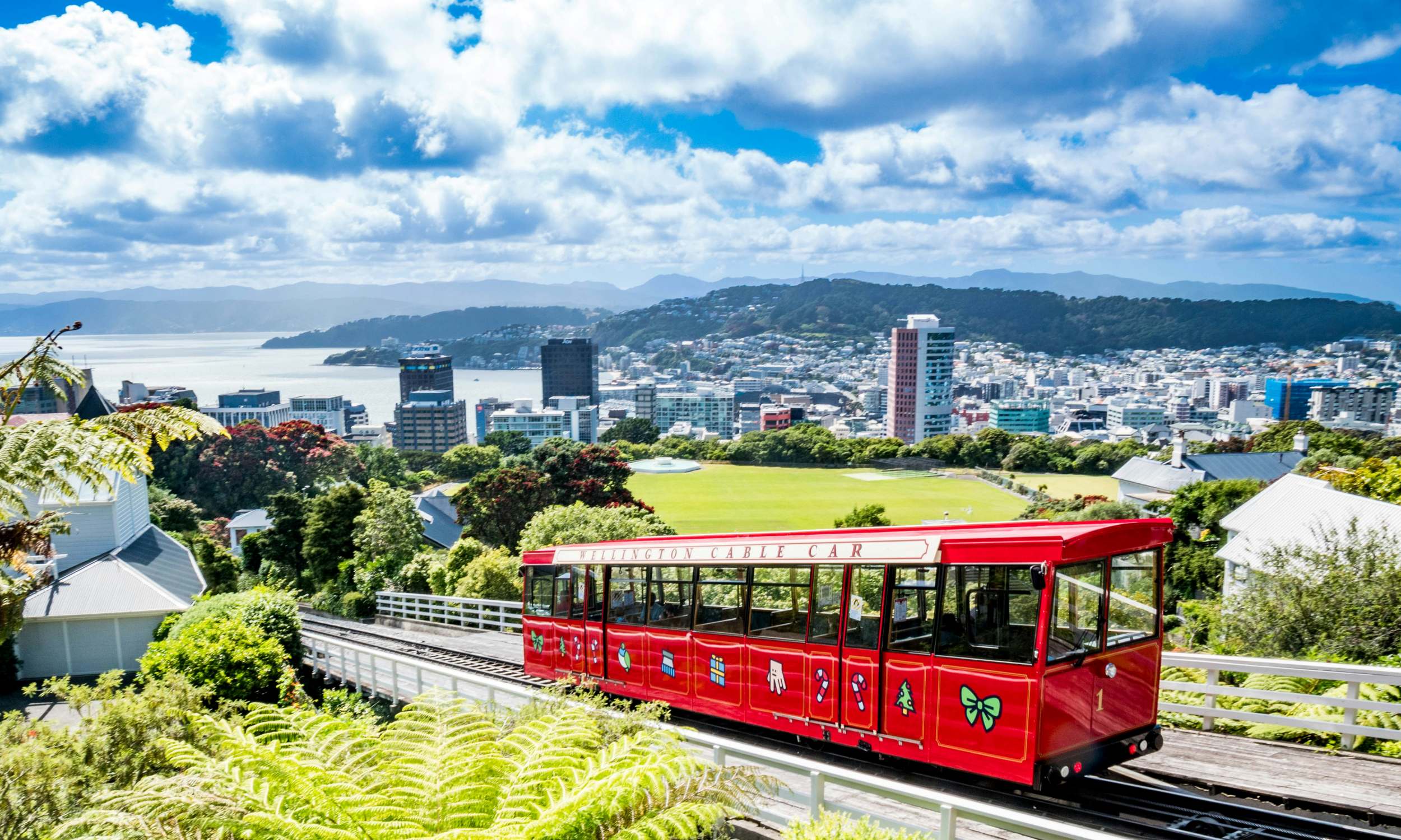 Wellington New Zealand